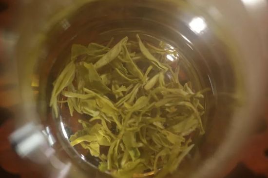 碧螺春正確泡法和飲用，碧螺春茶泡茶方法與溫度