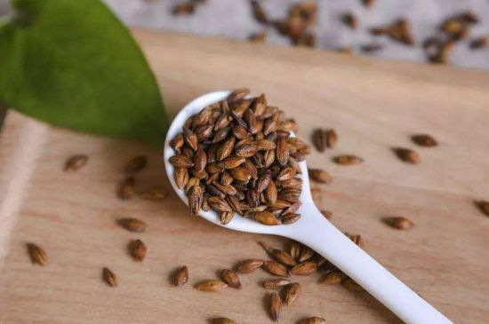 大麥茶上火嗎，喝大麥茶會不會上火？