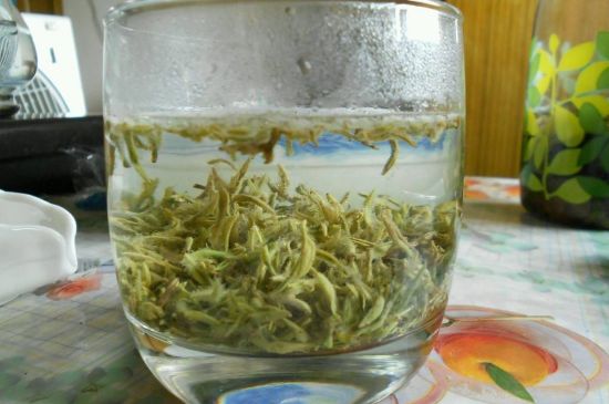 碧螺春正確泡法和飲用，碧螺春茶泡茶方法與溫度