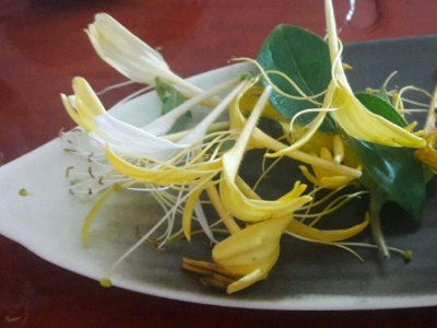 喝茶治口臭嗎，什么茶治口臭好？