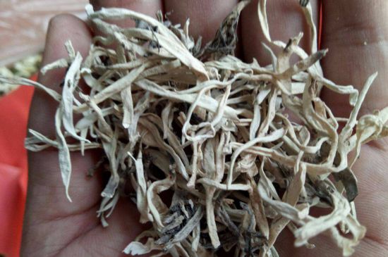 麗江雪茶的禁忌，白雪茶的副作用