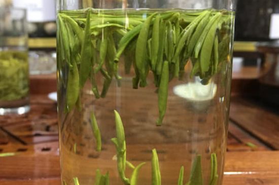 雀舌茶的副作用，雀舌茶什么人不能喝？