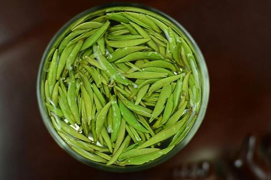 雀舌茶什么人不能喝，雀舌茶的功效與禁忌