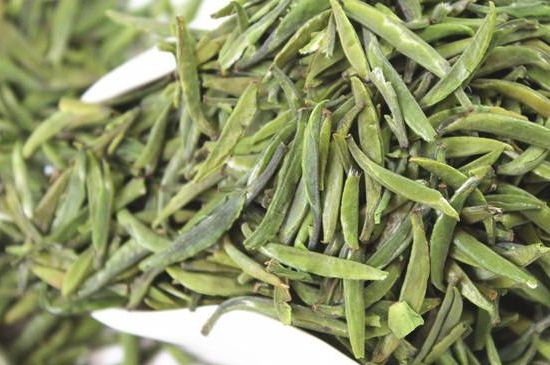 雀舌茶什么人不能喝，雀舌茶的功效與禁忌