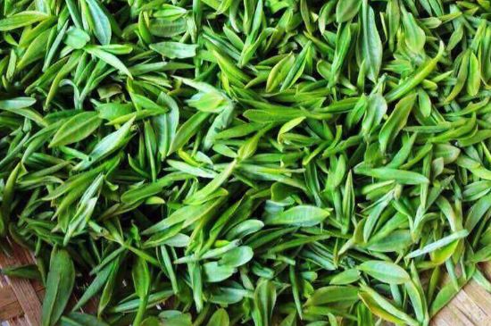 云霧綠茶的功效及禁忌，哪些人不適合喝云霧茶