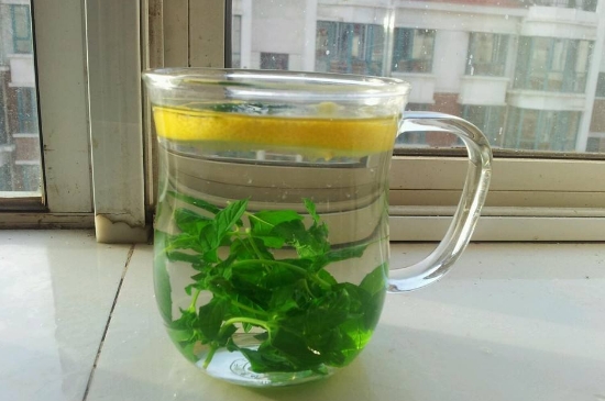 薄荷茶的功效與作用，喝薄荷茶有什么好處？