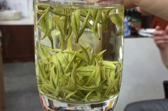 茶葉過期5年了但沒開封，茶葉放久了能喝嗎