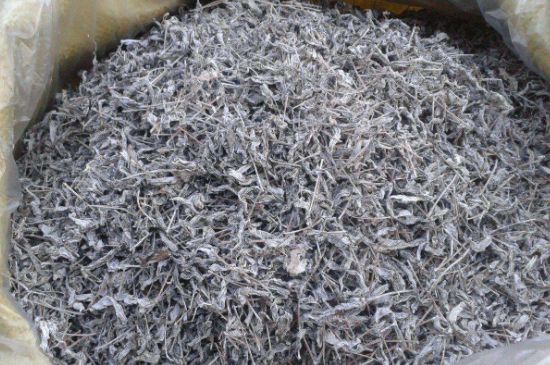 怎樣辨別莓茶發(fā)霉了，莓茶發(fā)霉和白霜的區(qū)別