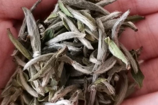 如何買茶葉不上當，怎么買茶葉不被坑？
