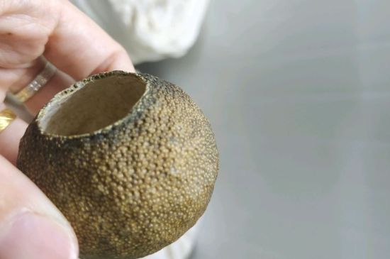 小青柑多少錢一盒，新會(huì)小青柑普茶價(jià)格一斤多少