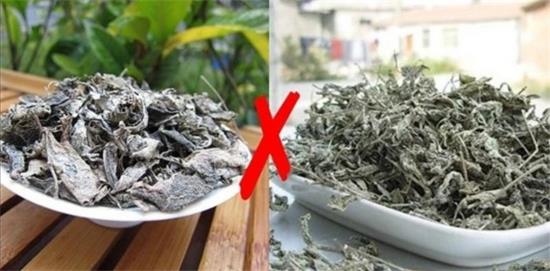 張家界茅巖莓茶與藤茶是同一種茶嗎，藤茶跟莓茶一不一樣？