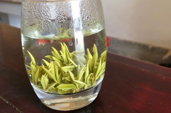 安吉白茶耐寒嗎，白茶適合放冰箱嗎