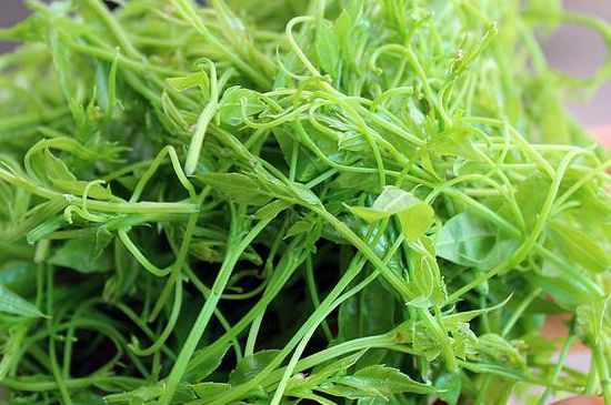 茅巖莓茶別名是什么，莓茶別名叫藤茶嗎？