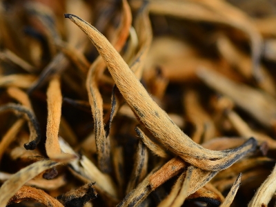 怎么知道什么茶葉適合自己，怎么判斷自己適合喝什么茶？