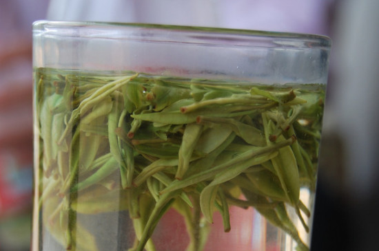 白茶的年份是怎么區(qū)分，如何辨別白茶年份