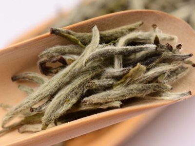 白毫銀針放幾年最好，白毫銀針什么年份最好？