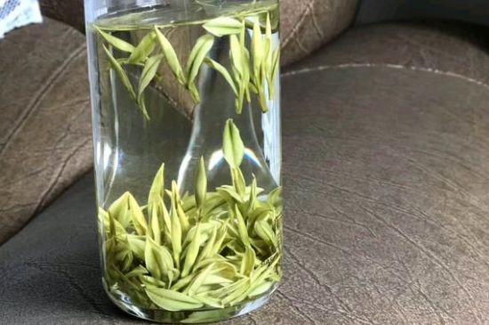 安吉白茶夏天怎么保存，安吉白茶能冷凍儲(chǔ)存嗎？