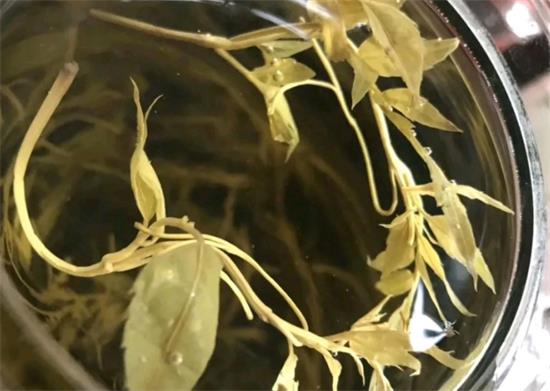 張家界茅巖莓茶與藤茶是同一種茶嗎，藤茶跟莓茶一不一樣？