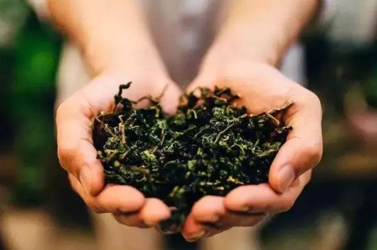 茶葉怎么炒制才香，怎樣炒茶葉更香？
