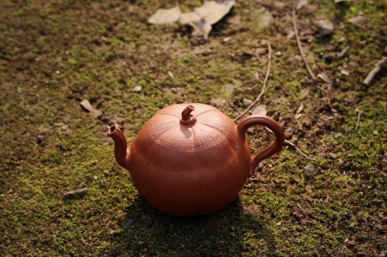 紫砂壺泡什么茶最佳，紫砂壺一般泡什么茶？