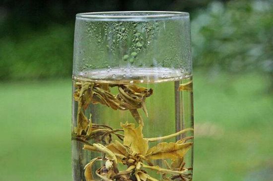 茉莉龍珠什么人不能喝，茉莉龍珠茶什么體質(zhì)不能喝？