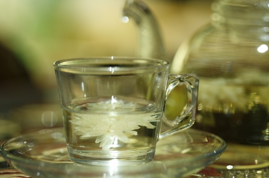 菊花茶天天喝行嗎，每天喝菊花泡茶喝好嗎？