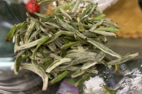 蒸汽煮茶器適合什么茶，蒸汽煮茶器適合用綠茶嗎？