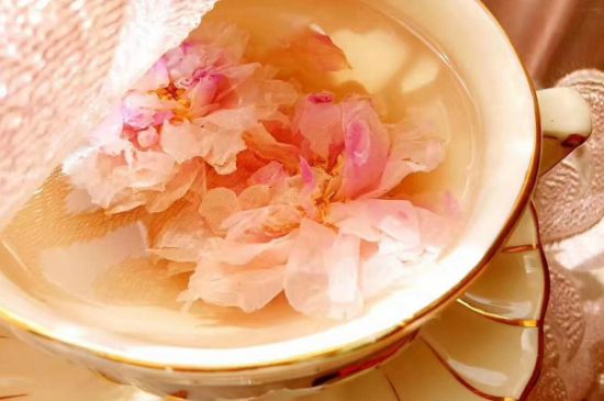 玫瑰花茶一周喝幾次，玫瑰花茶可以天天喝嗎？