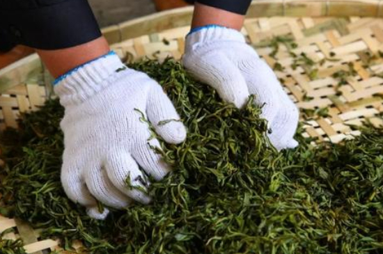 綠茶加工工藝流程圖，綠茶的加工制作包含哪幾個步驟？