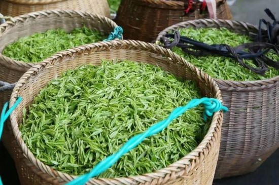 茶葉怎么炒制才香，怎樣炒茶葉更香？