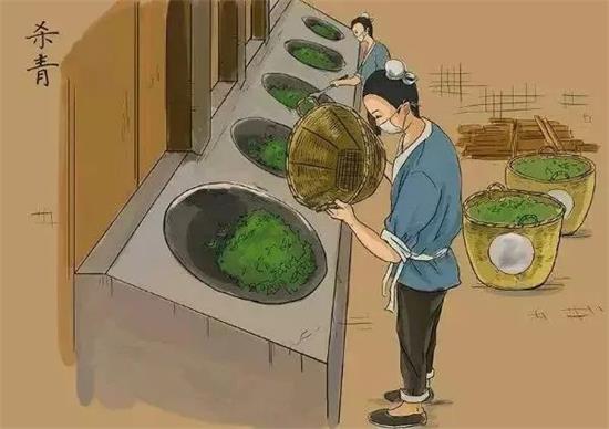 制茶八步驟，制茶工藝流程圖