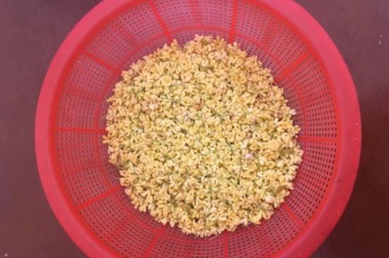 干桂花茶的制作方法，怎樣自制桂花茶？