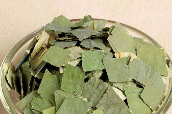 荷葉茶每天喝多少合適，什么時候喝最好？