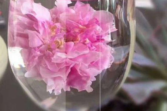 干玫瑰花泡水放幾顆，玫瑰花泡水一次放幾朵？