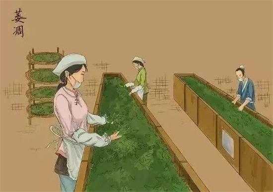 制茶八步驟，制茶工藝流程圖