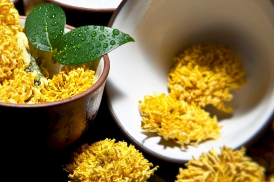 孕婦可以喝菊花茶嗎，菊花對(duì)胎兒有致畸作用？