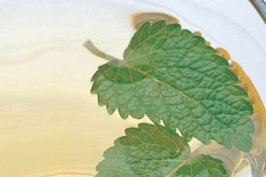 薄荷葉茶怎么制作，薄荷如何做成干茶葉