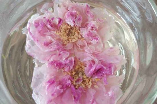 玫瑰花茶上火嗎，盲目喝玫瑰花茶易上火