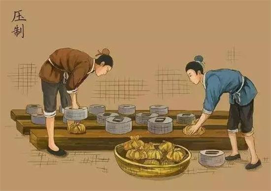 制茶八步驟，制茶工藝流程圖