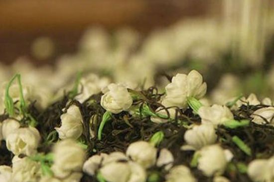 蒸茶器可以蒸花茶嗎，蒸茶器能用來(lái)蒸茉莉花茶嗎？