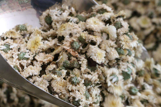 菊花茶買小朵還是大朵，泡茶用的小菊花和大菊花哪個(gè)好