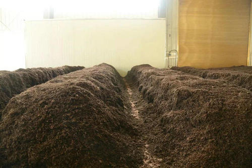 制茶八步驟，制茶工藝流程圖