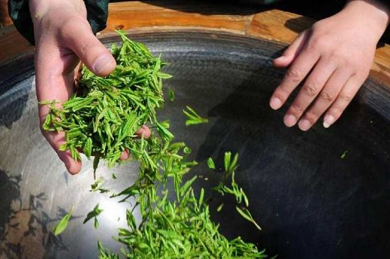 龍井茶炒茶葉怎么炒出好茶色，茶葉怎樣做出來最綠？