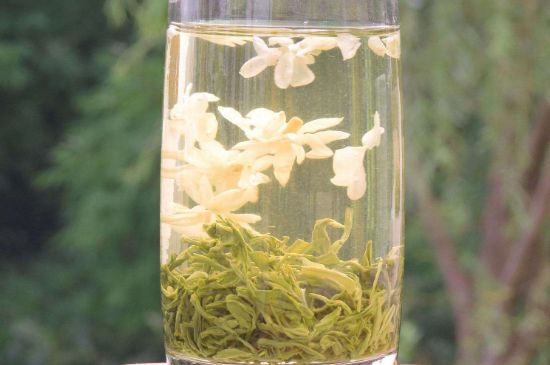 茉莉龍珠可以和什么一起泡茶，茉莉龍珠茶能加蜂蜜嗎？