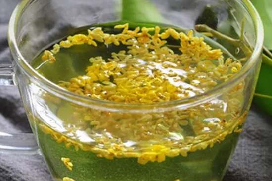 茉莉茶一次泡幾朵，茉莉茶放多少