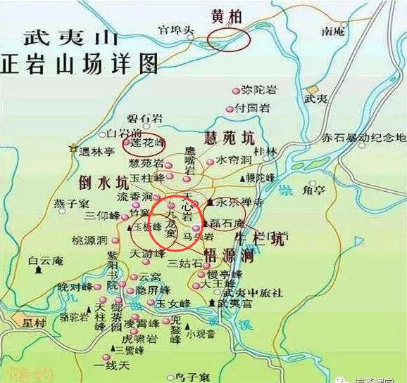 母樹大紅袍給誰喝了，為什么母樹大紅袍叫三棵六株？