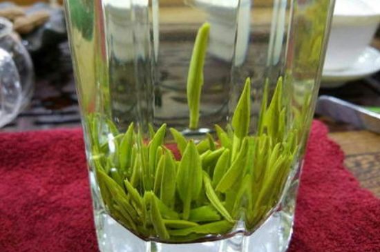 雀舌有一股青草味，雀舌為什么有青草味？