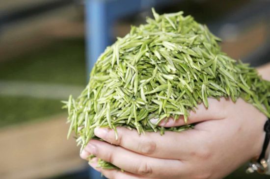 高山云霧茶屬于什么茶，高山云霧茶哪里的最好