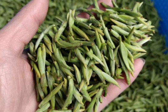 龍井茶好壞的鑒別圖片，如何區(qū)別龍井茶的好壞？