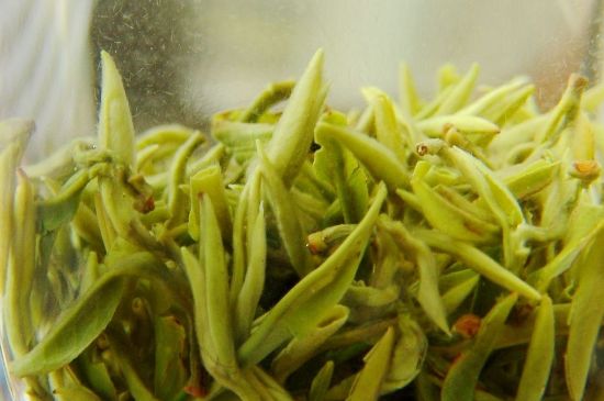 碧螺春為什么泡水渾濁，碧螺春茶葉泡水感覺很臟是混濁的